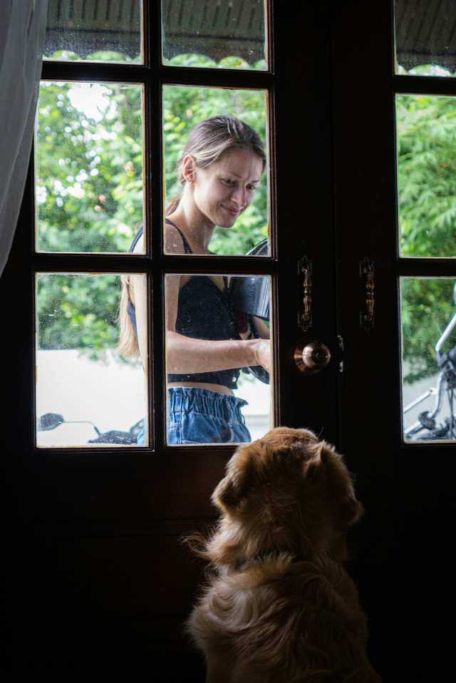 How to Prevent Door Dashing in Dogs With Boundary Training at Thresholds: Effective Tips